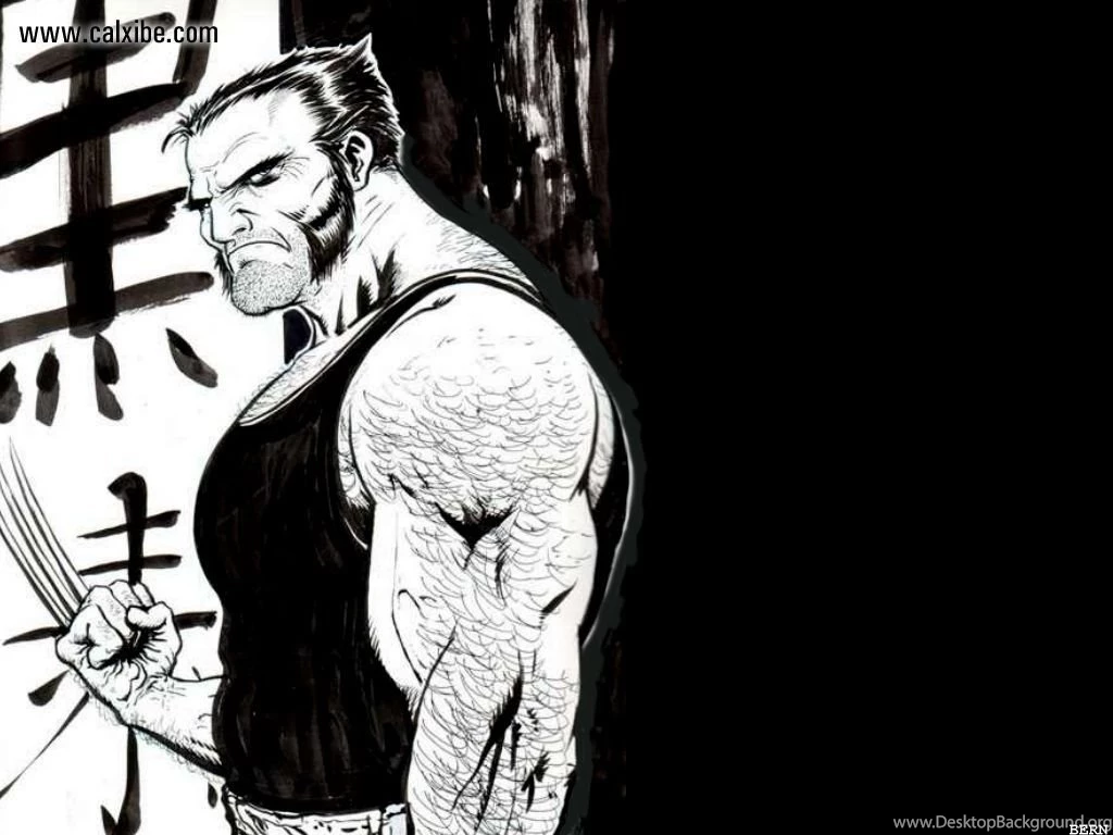 Fantasy: Xmens Wolverine Chinese Symbols, Picture Nr. 6274