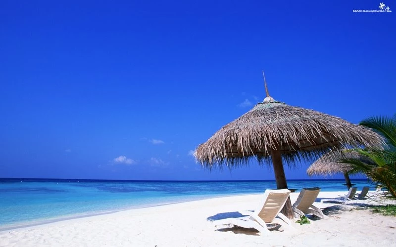 Tropical Sandy Beach And Blue Ocean 2560 Love These Wallpapers ...
