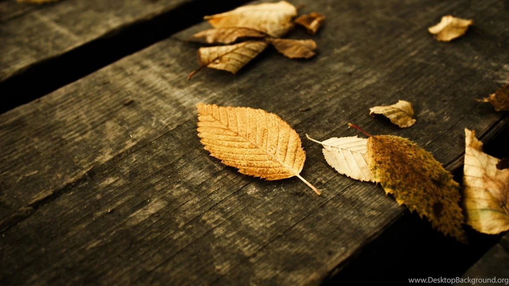 Hd Wallpapers Collection (44+)