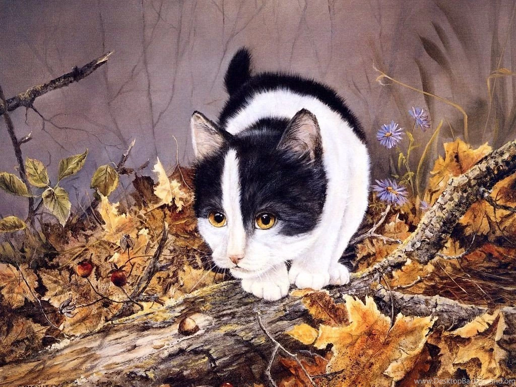 Cats: Calico Cat Autumn Leaf Kitten Wallpapers For Desktop For HD ...