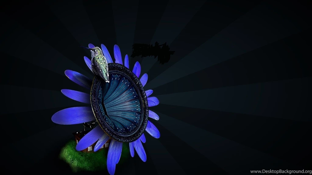 1920x1080 Woodpecker Desktop PC And Mac Wallpapers