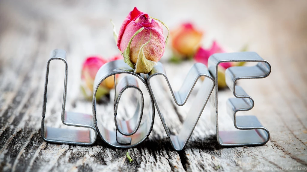 Love With Rose New Wallpapers