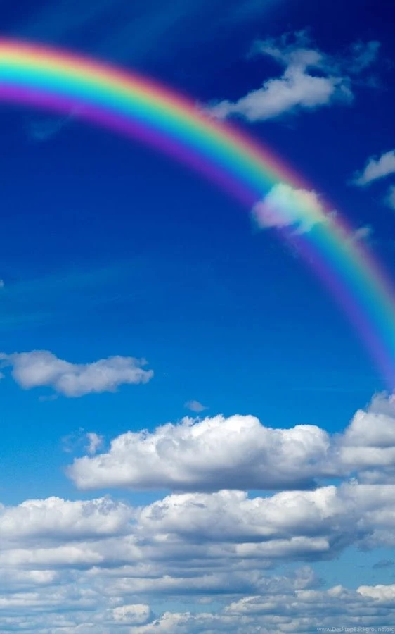 Rainbow Live Wallpapers Android Apps On Google Play