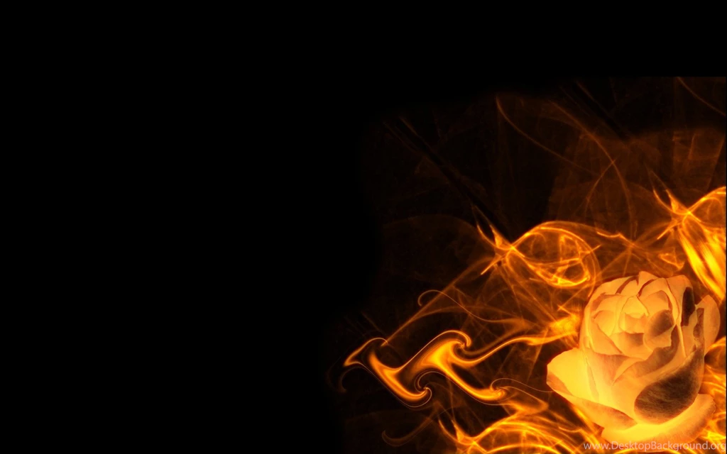 Rose Fire Black Backgrounds HD Wallpapers