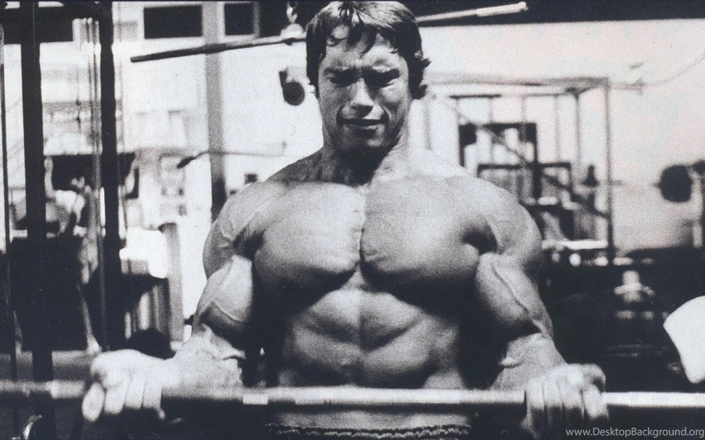 Arnold Schwarzenegger Bodybuilding