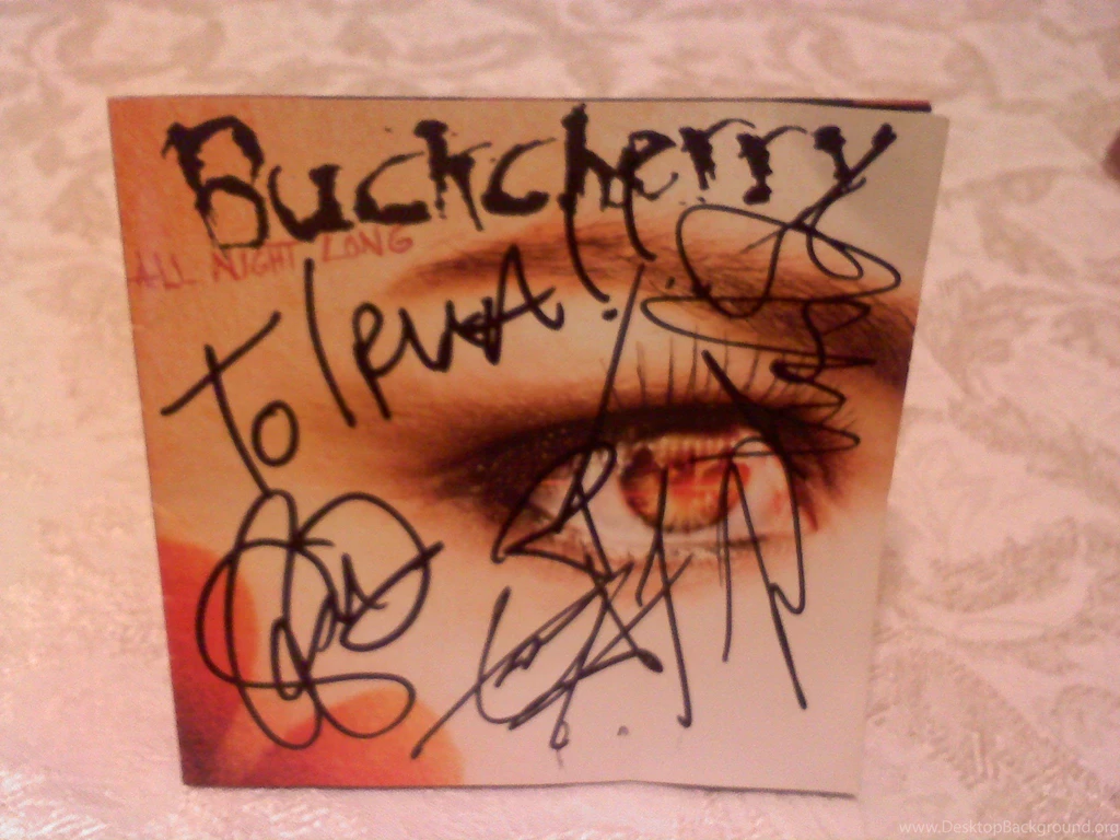 From Pit To Lawn: The Most Metal Concert Reviews In LA