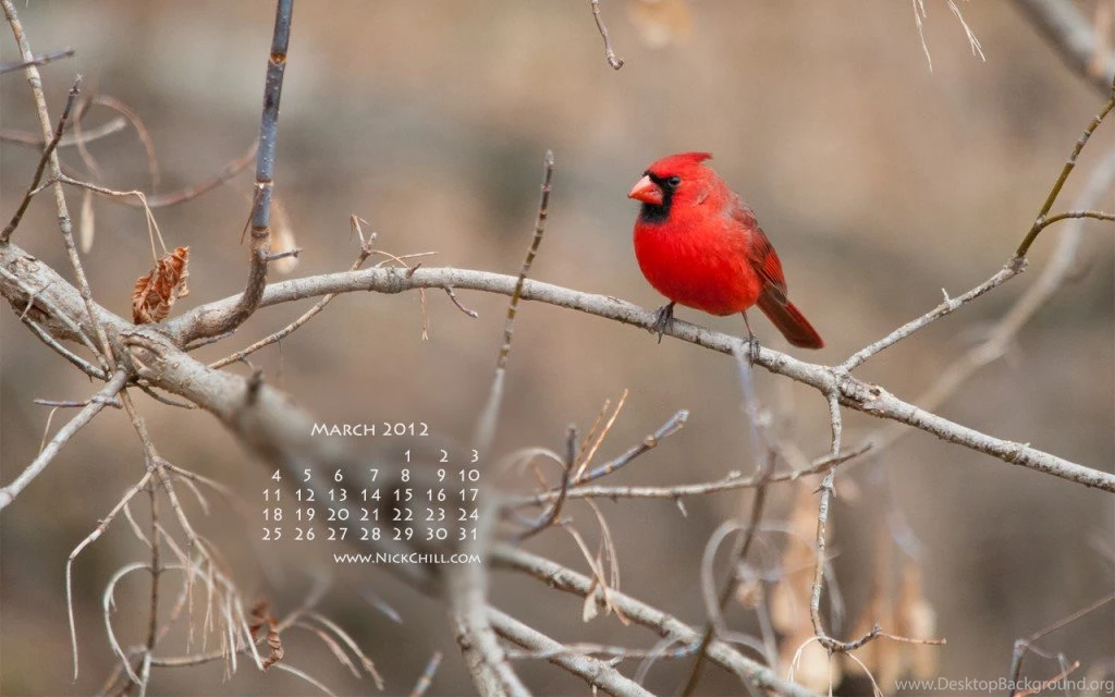 Free Desktop Wallpapers Calendar