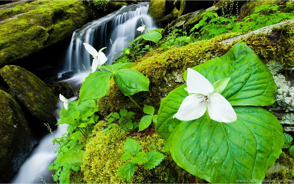 The Webshots Fine Photography In March 2012 Wallpapers 4 ...
