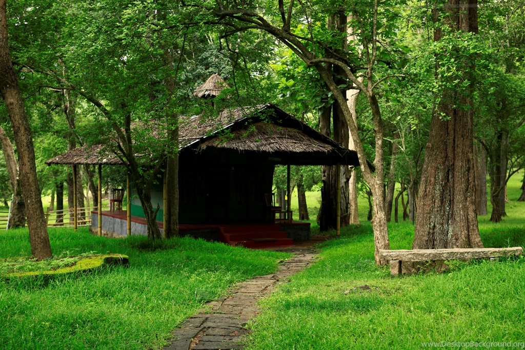 Picnic Spots