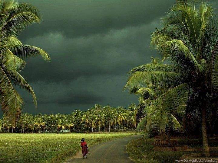 Nature Wallpapers Kerala – Nature Wallpapers