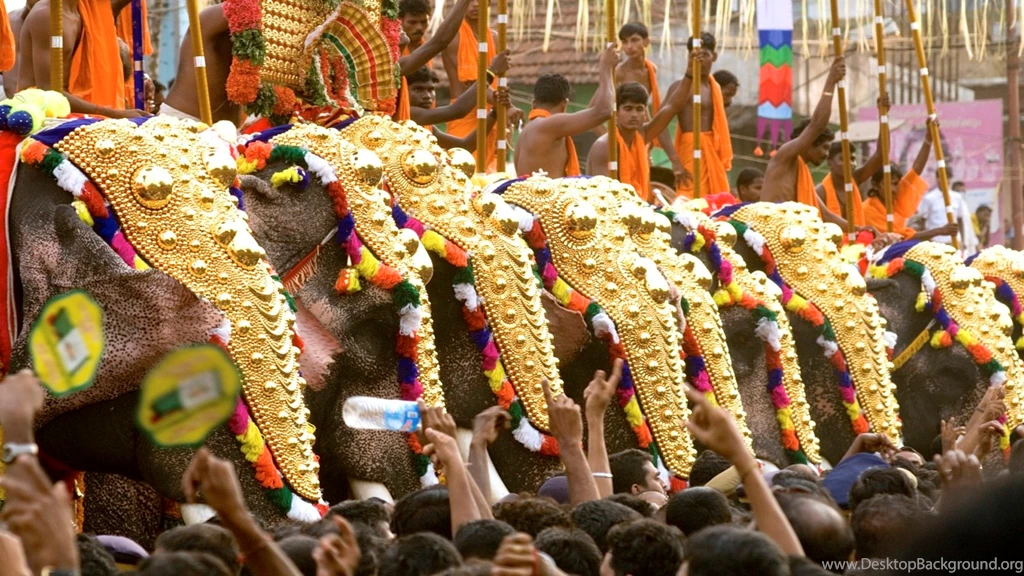 Fest300   Thrissur Pooram Elephant Festival   Photos, Videos, And ...
