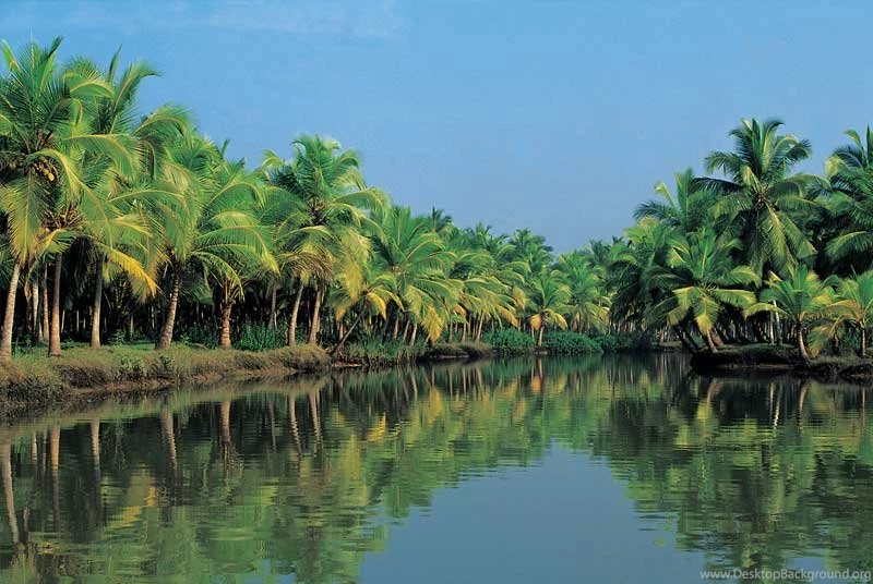 Travel To Kerala Tourism, Destinations, Hotels, Transport