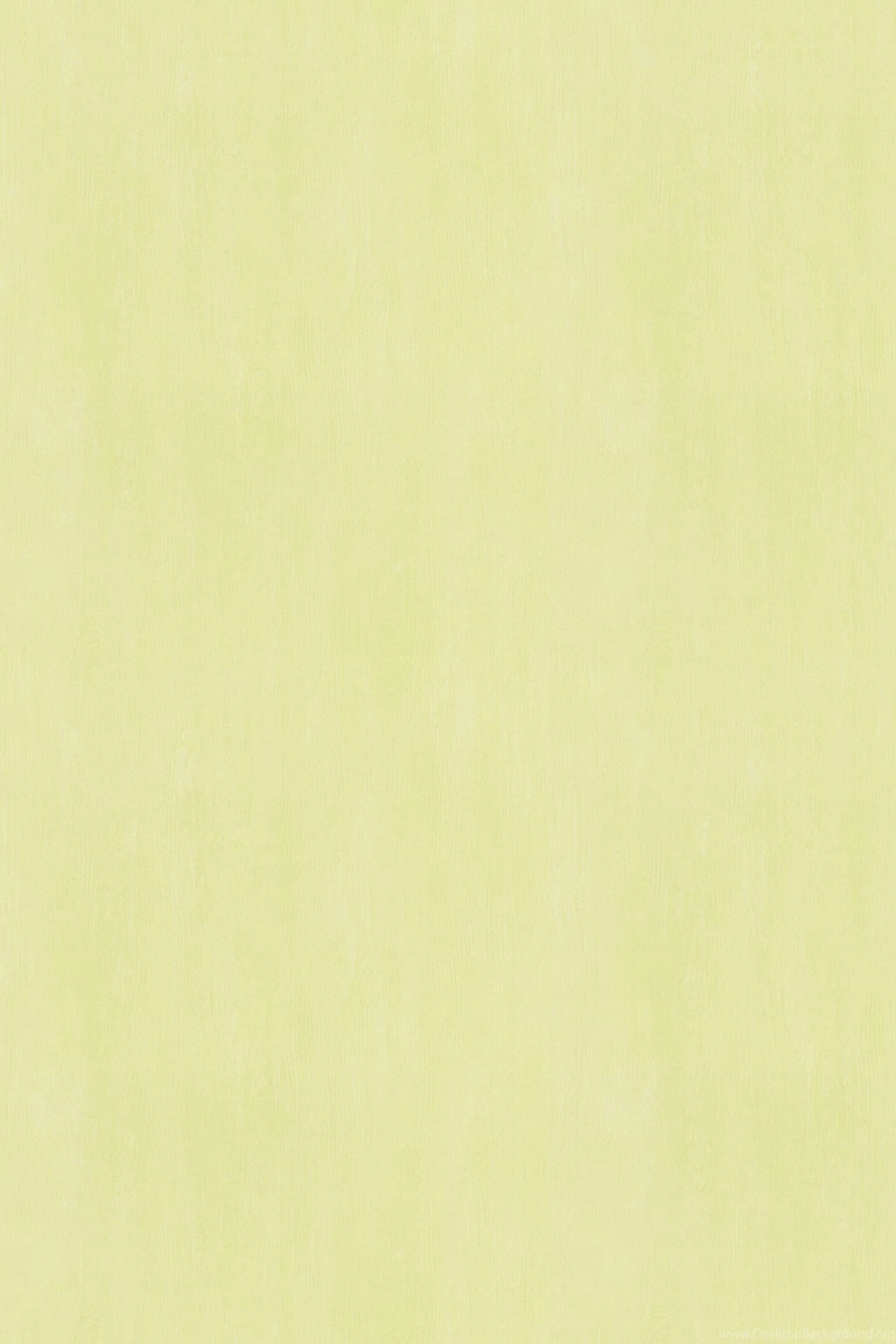 Esprit   Eco wallpapers Eco Uni At Our Online Shop