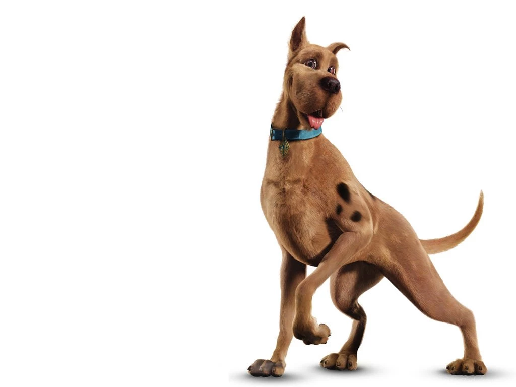 Scooby Doo Mystery Incorporated Characters HD Wallpapers Image For ...