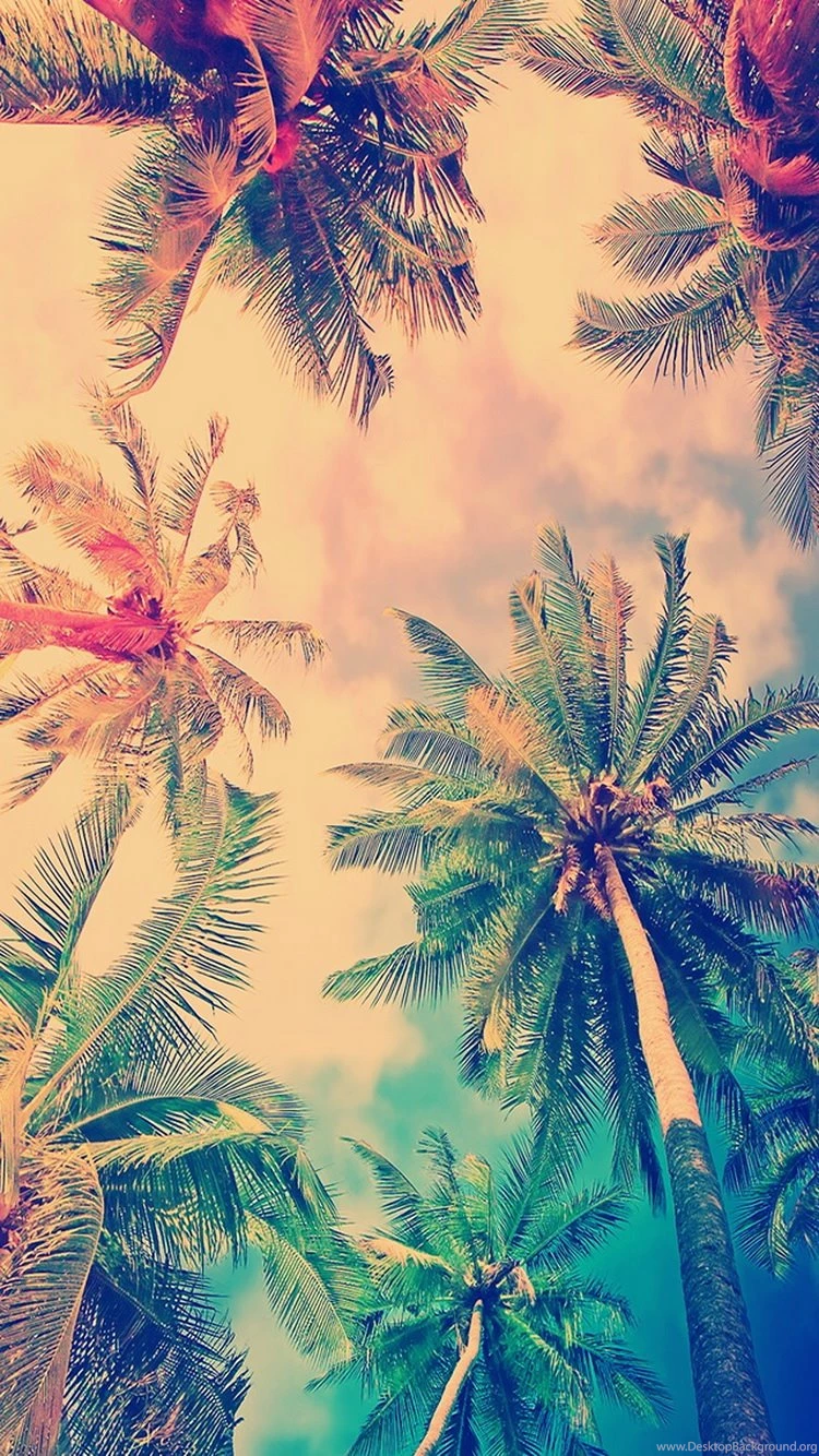 Free Wallpapers Downloads