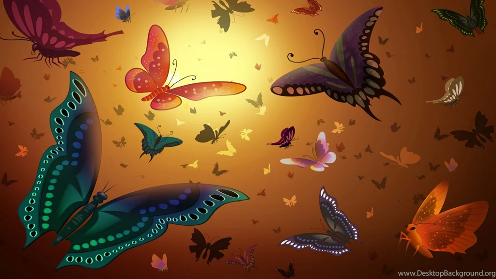 Nice Butterfly High Resolution Wallpapers