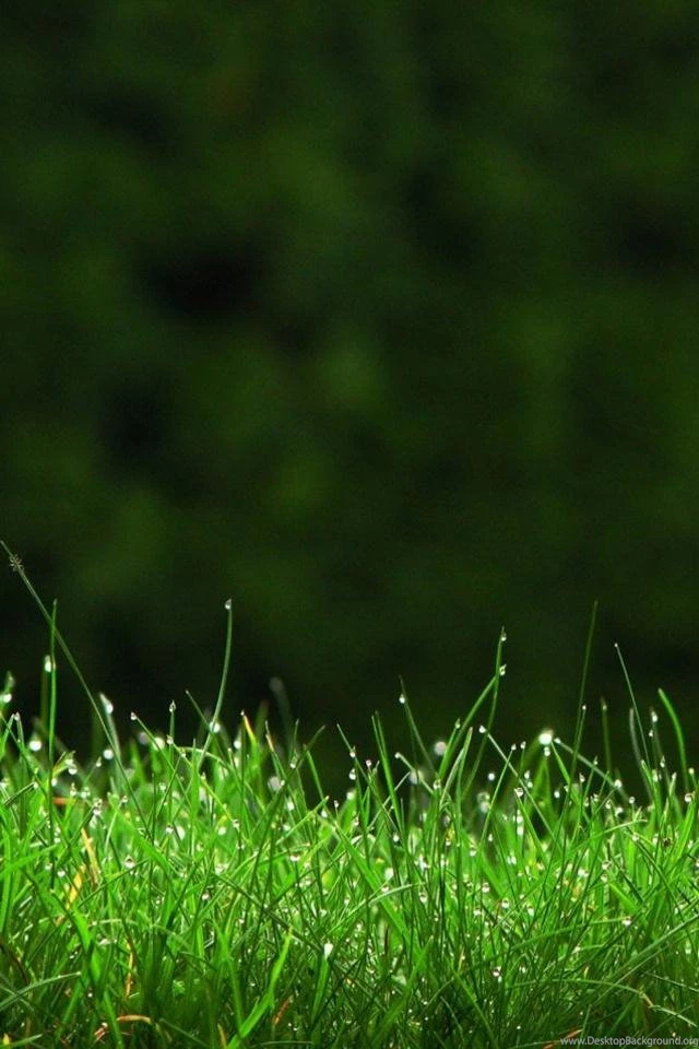 New Audi Wallpapers Photo Phone Wallpapers