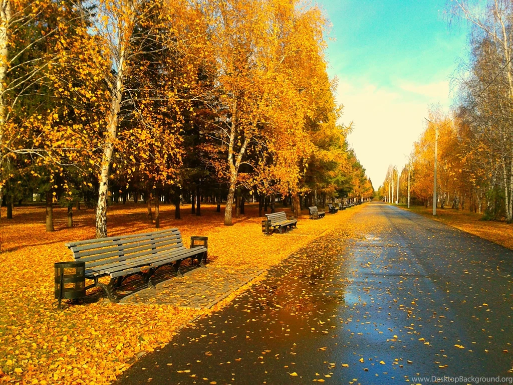 Autumn Season Wallpapers