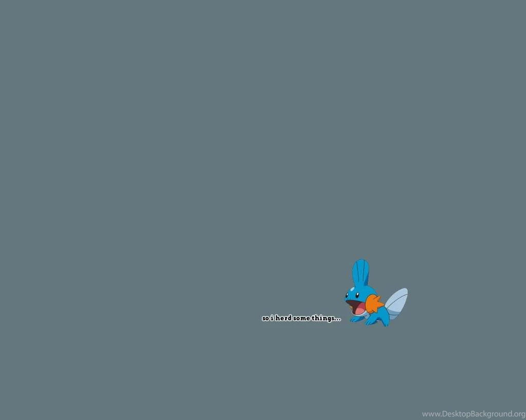 Mudkip Wallpapers Photo By HappyGestapo