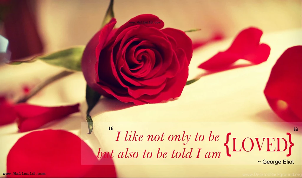 Download Cute Love Wallpapers Photo