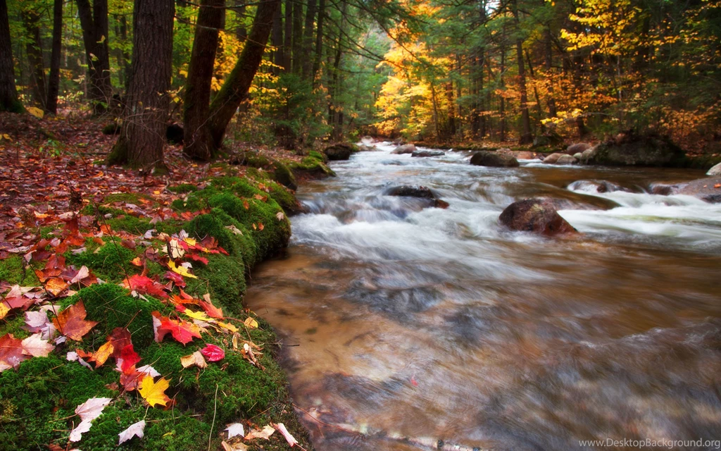 Magnificent New Hampshire Wallpapers