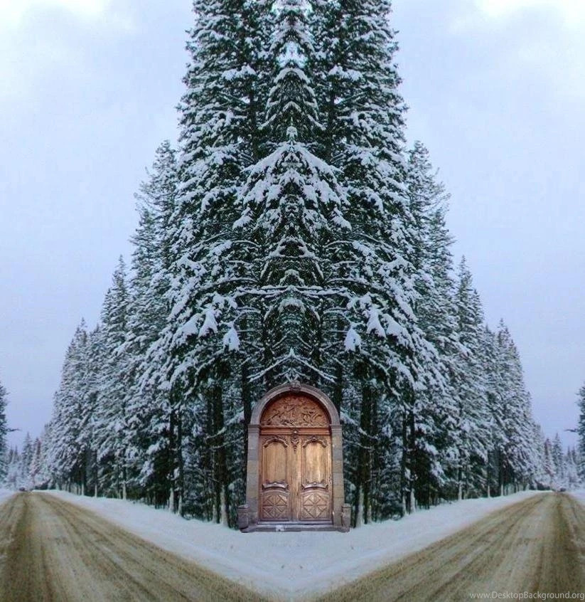 Winter Road, New Hampshire Wallpaper.com Pixdaus