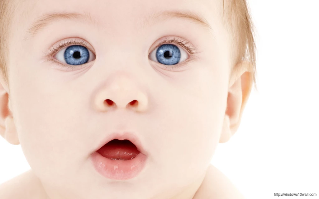 Funny Cuty Baby Boy Playing With Laptop – Windows 10 Wallpapers