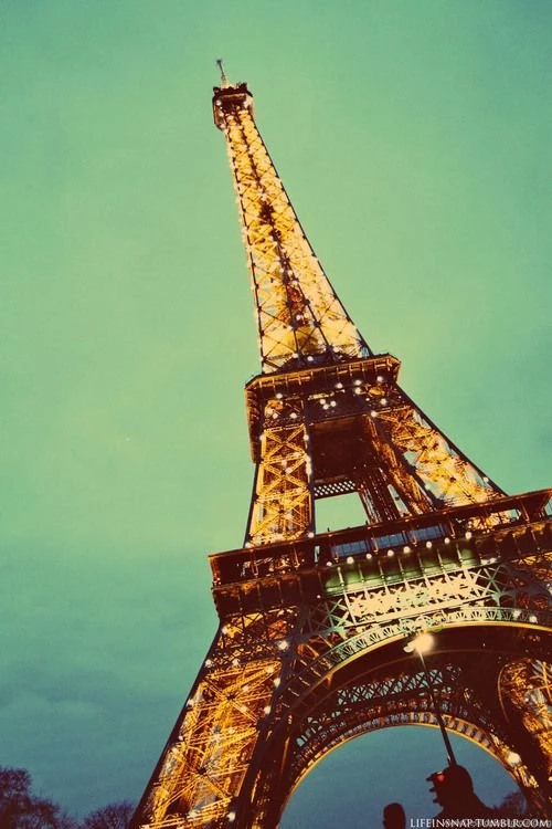 Gallery For > Home Screen Wallpapers Tumblr