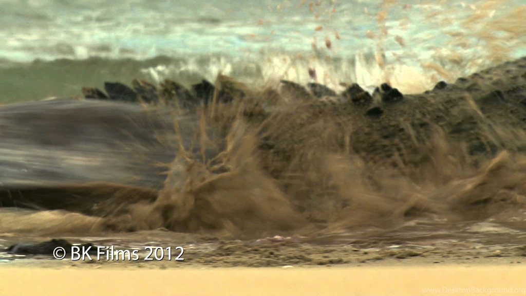 Reptilian Battleground Croc V Turtle   YouTube