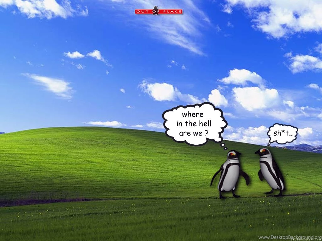 Out Of Place Pingu By Uh On DeviantArt