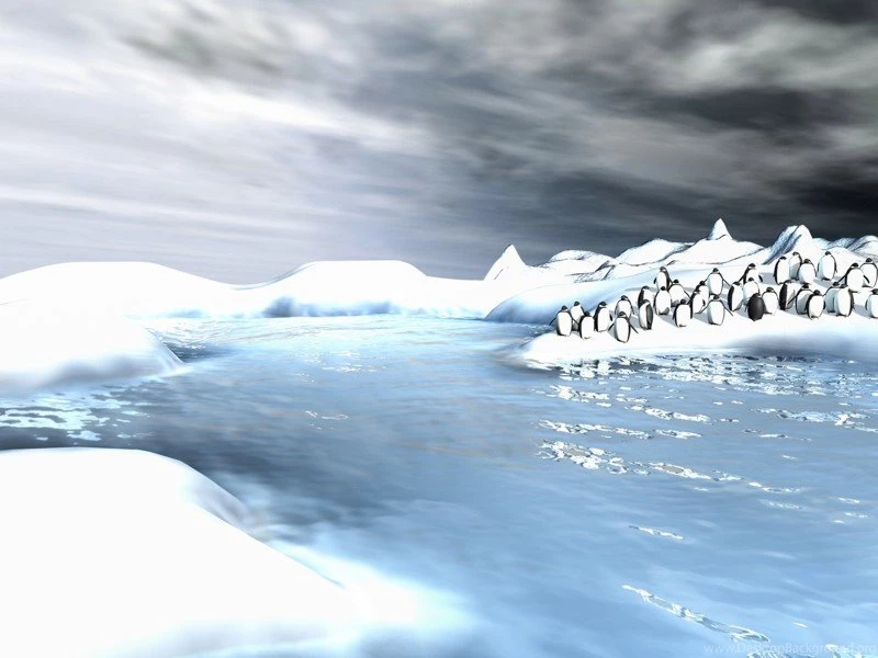 Pingu Wallpapers