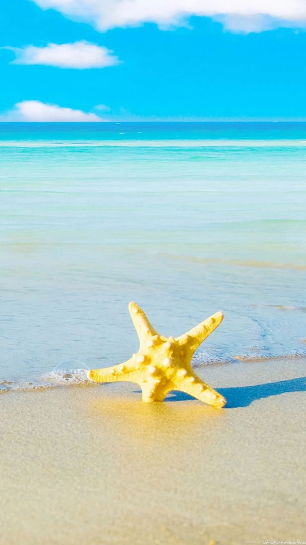 Starfish Beach iPhone 6 Plus HD Wallpapers / IPod Wallpapers HD ...