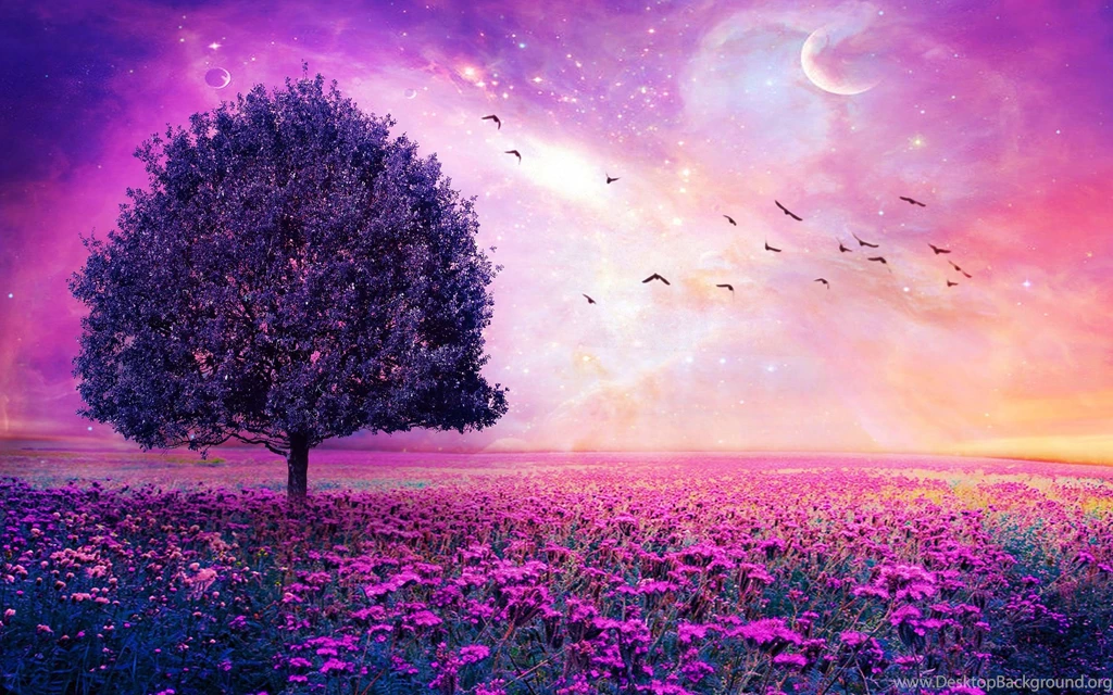 Wow, 3 Days Is A Row? 2/25/16   Just A Little Talk