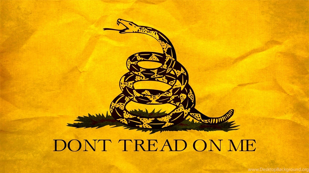 Walpole Reacts: Gun Control – The Rebellion