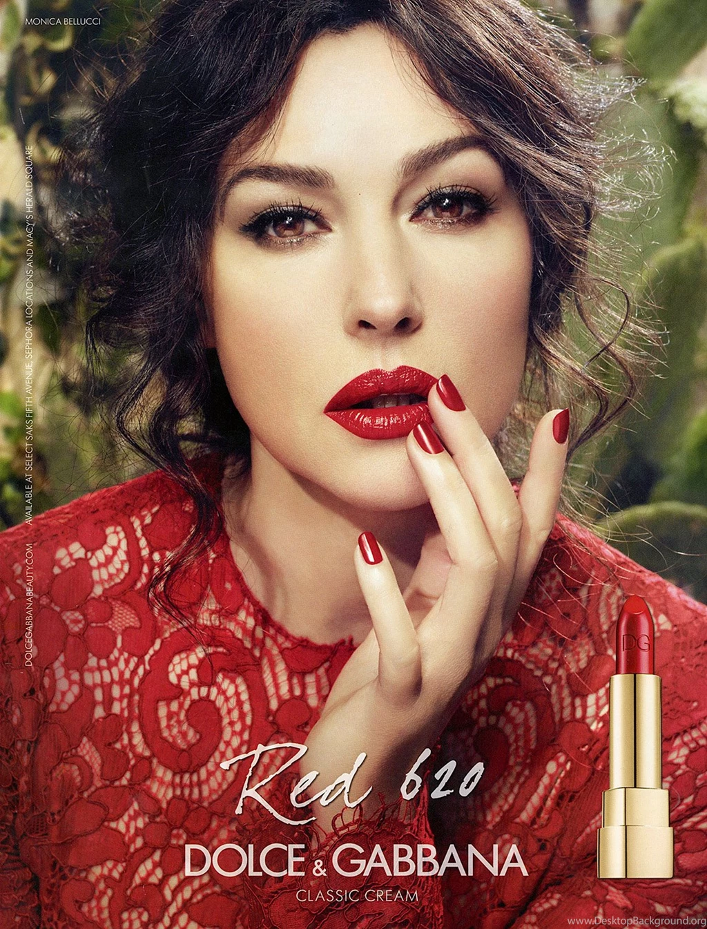 15 Quality Monica Bellucci Wallpapers, Celebrity