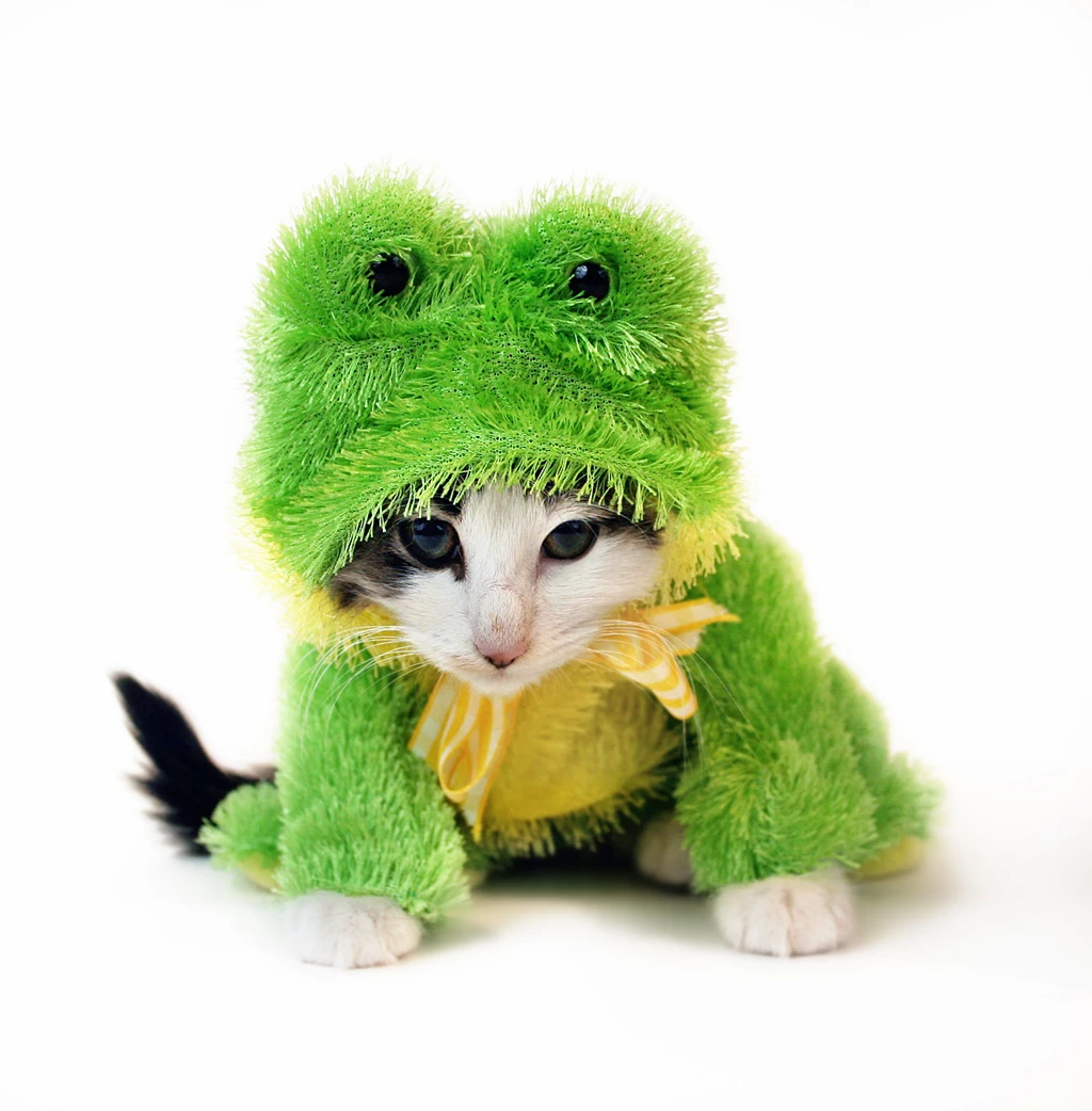 Shutterstock Hey Hr Need Some High Quality Images