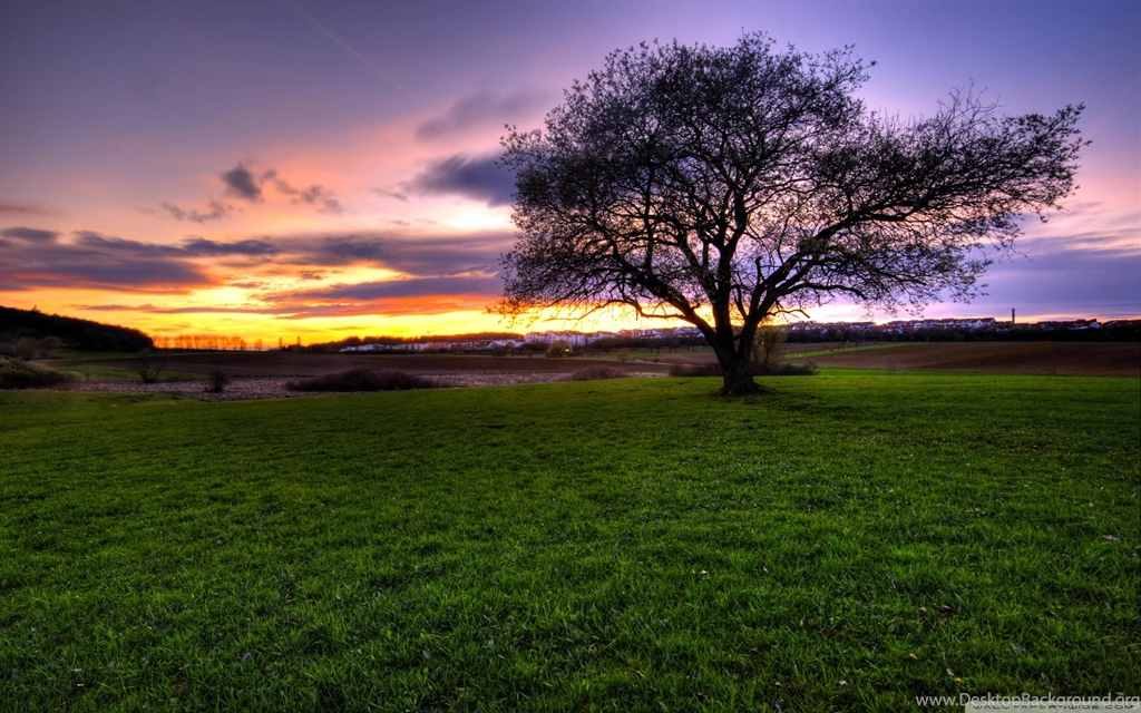 African Landscape Sunset Wallpaper.