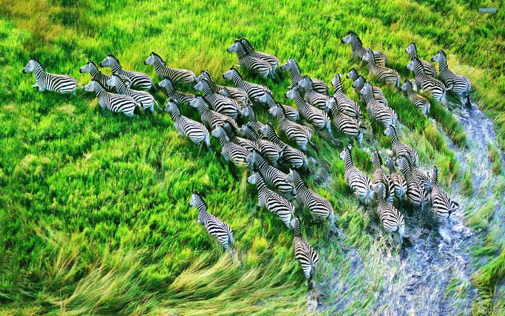 Africa Wallpapers