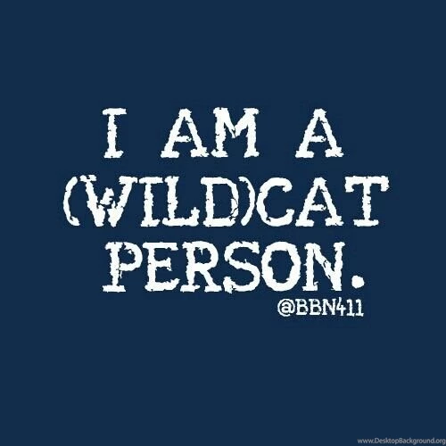 I Am A (Wild)Cat Person