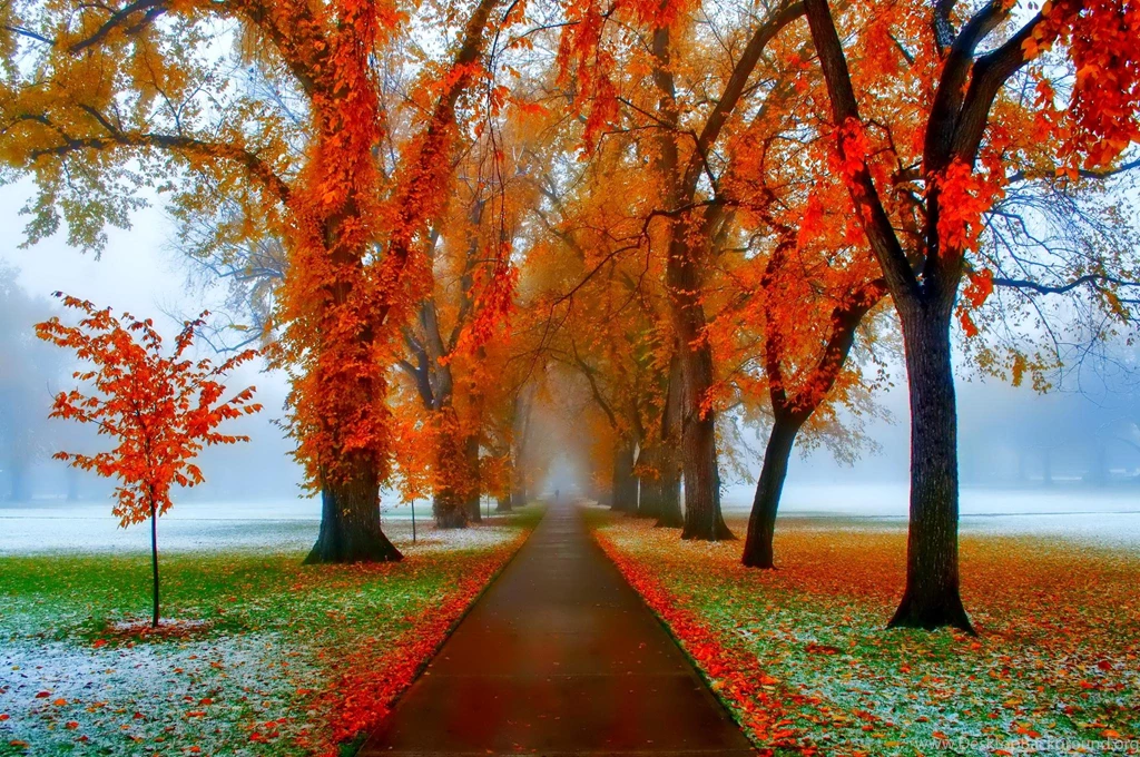 November Poland >> HD Wallpaper, Get It Now!
