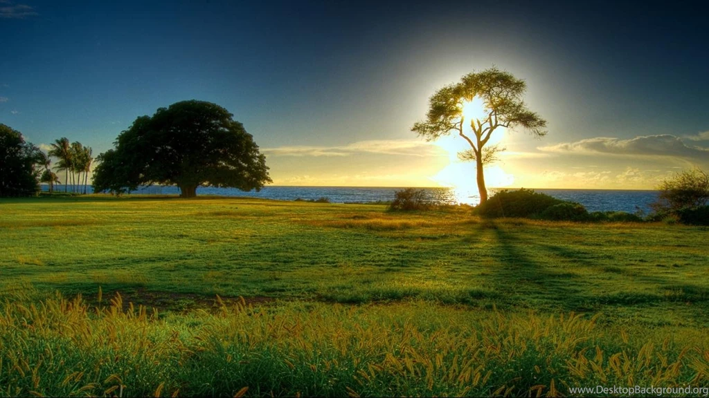 The Morning Sun HD Desktop Wallpapers 1366x768 Hd Wallpapers ...