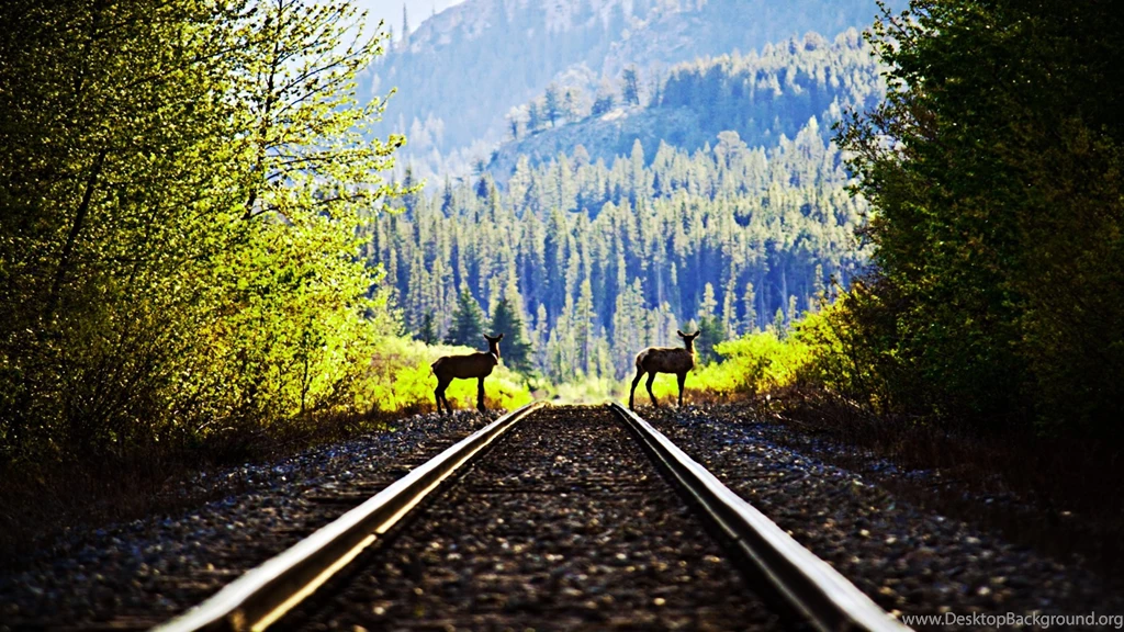 Railroad Computer Wallpapers, Desktop Backgrounds