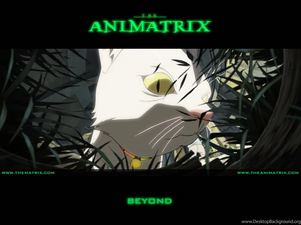 Animatrix / Аниме обои / Anime Wallpapers