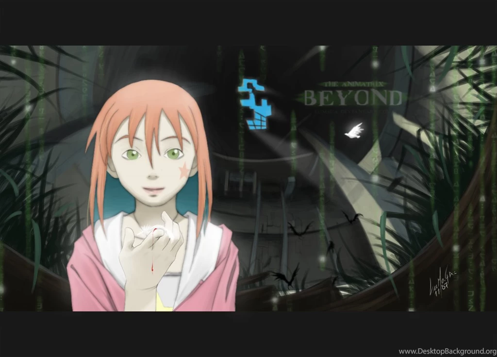 Animatrix DeviantArt