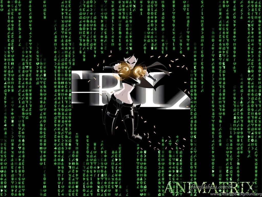 Animatrix.gif