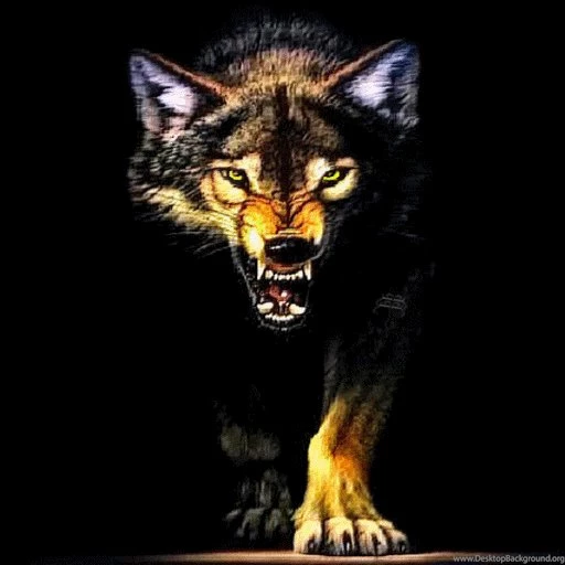 Amazon.com: Wolf Growl Live Wallpaper: Appstore For Android