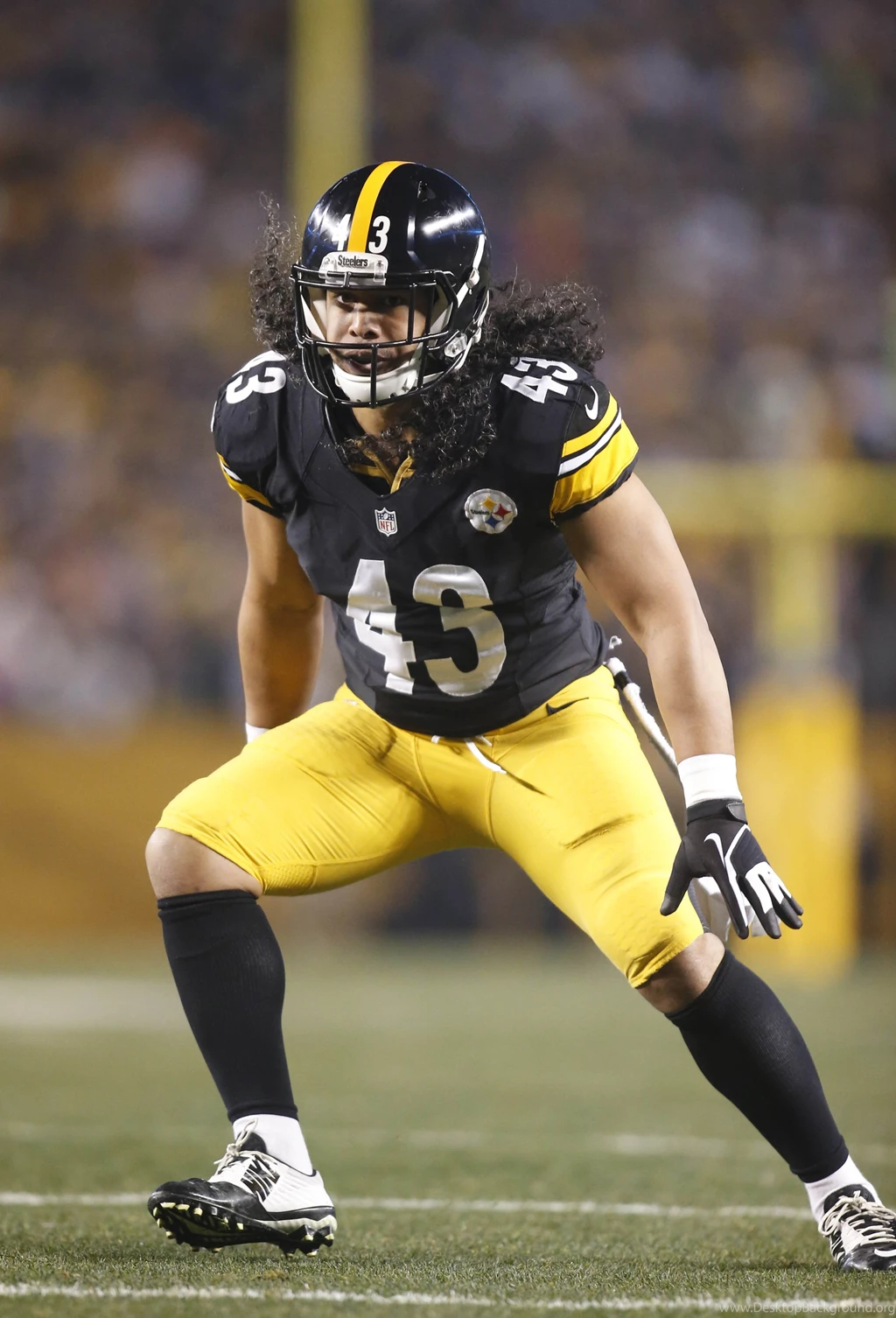 Troy Polamalu Pro Football Rumors