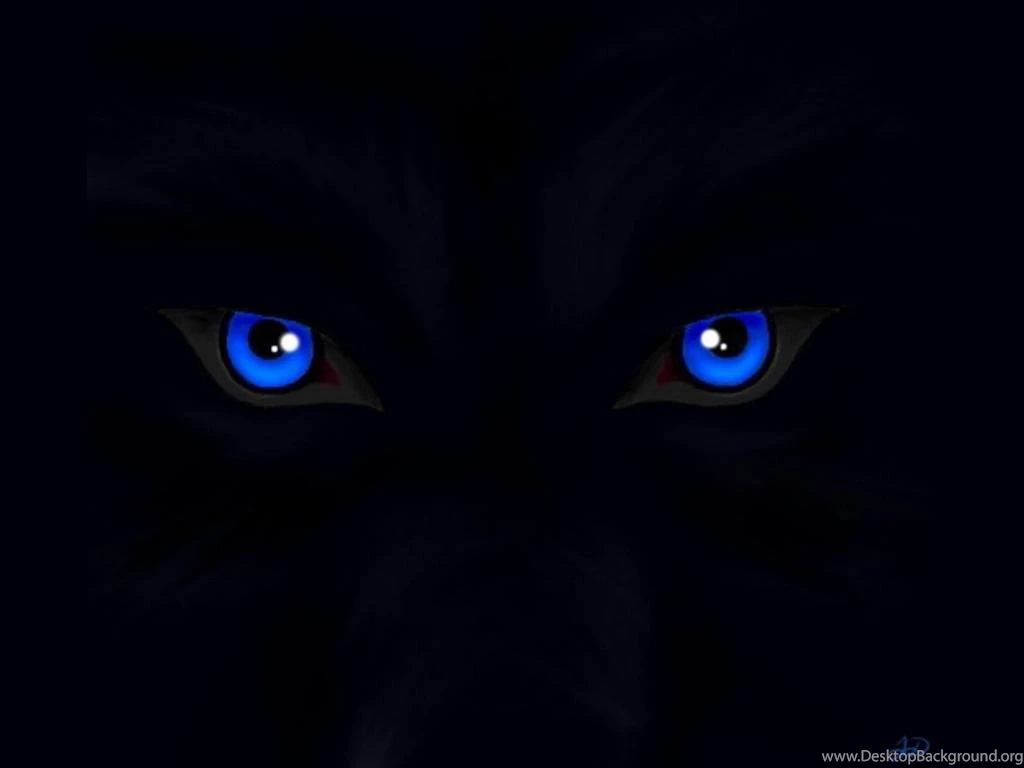 Wolf Eyes Live Wallpapers Android Apps On Google Play