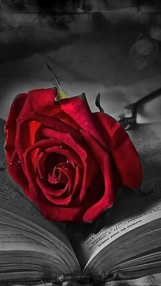 640x1136 Mobile Phone Wallpapers Download 8 640x1136 ...