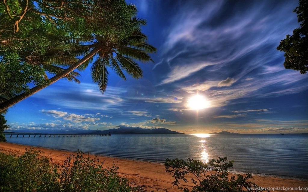 Beach Ocean Palm Ideas My Designs